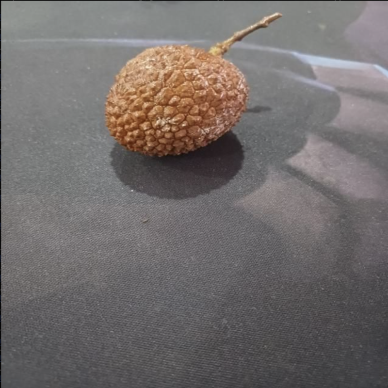 荔枝成熟度检测数据集-海院数据集
